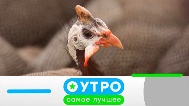 14 сентября 2023 года