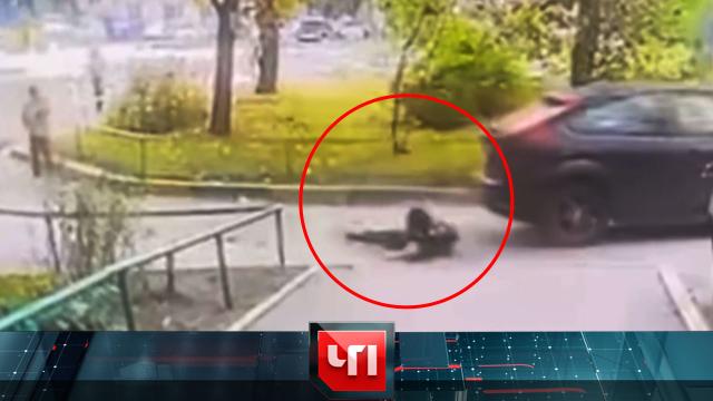 10 октября 2023 года