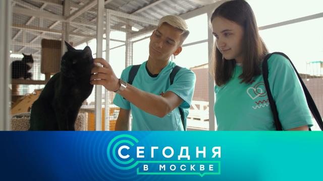 26 октября 2023 года. 23:35