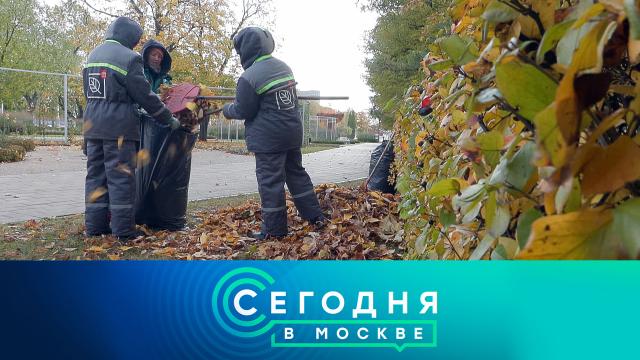 30 октября 2023 года. 16:20