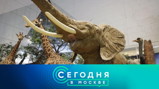 9 ноября 2023 года. 16:20