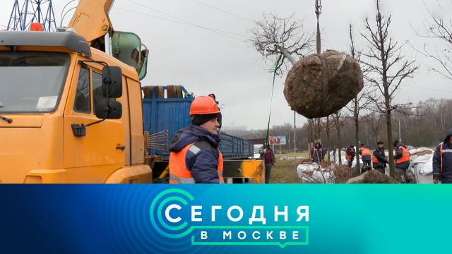 22 ноября 2023 года. 23:35