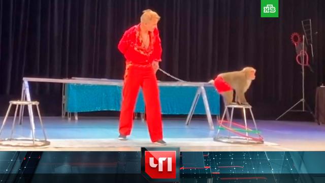 26 декабря 2023 года