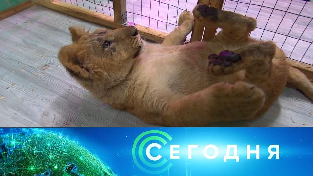 8 января 2024 года. 10:00