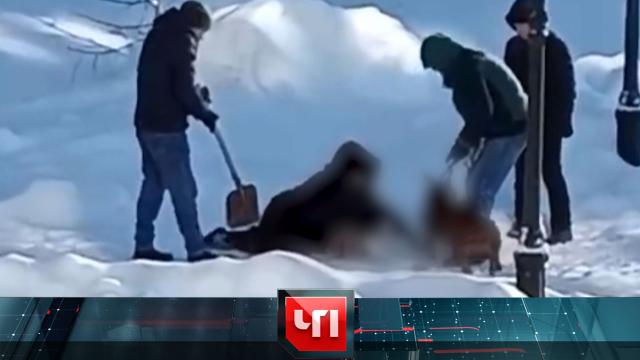 10 января 2024 года