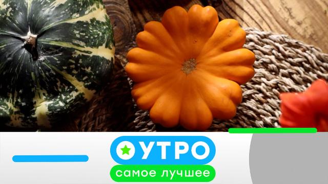 15 февраля 2024 года