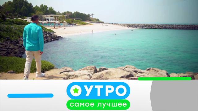 19 февраля 2024 года