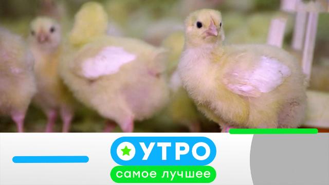 20 февраля 2024 года