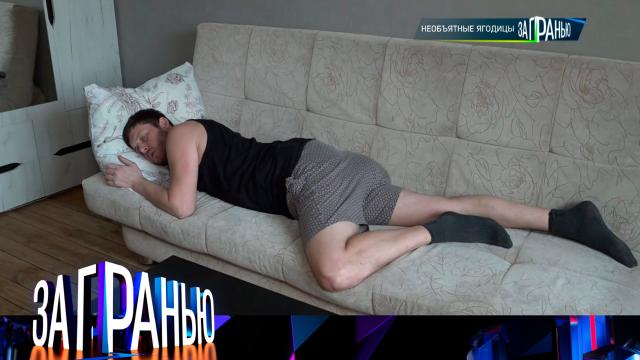 «Необъятные ягодицы»