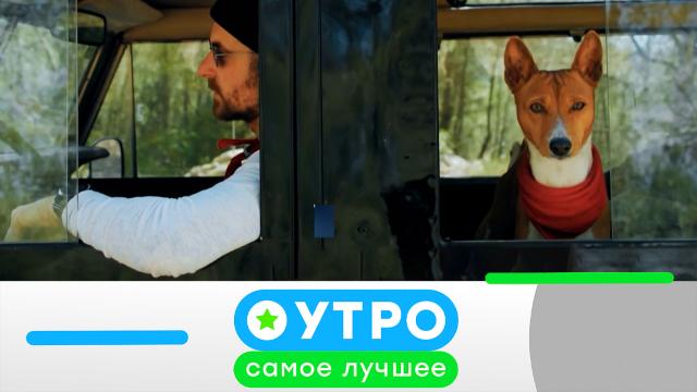 26 февраля 2024 года