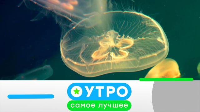 7 марта 2024 года