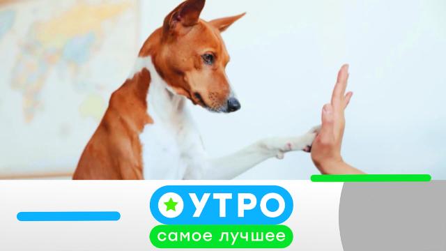 11 марта 2024 года