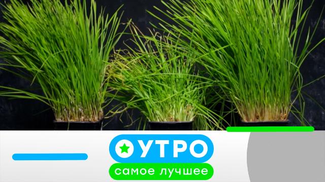 18 марта 2024 года