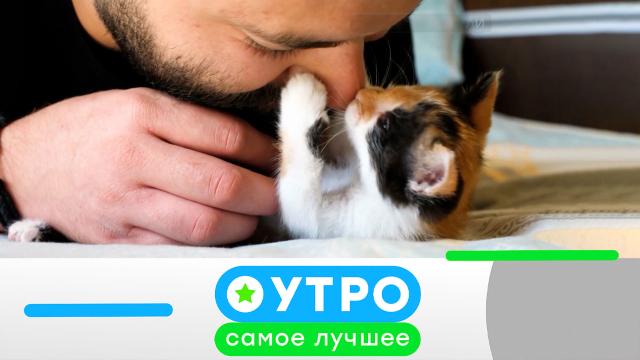 27 марта 2024 года