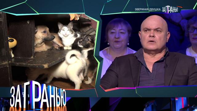 «Звериная двушка»