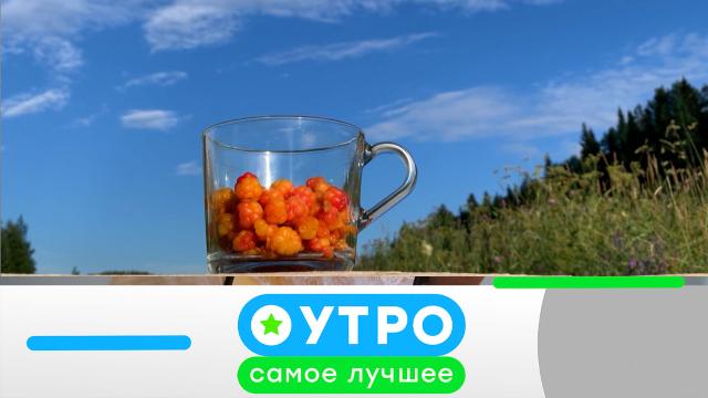 4 апреля 2024 года