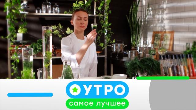 9 апреля 2024 года