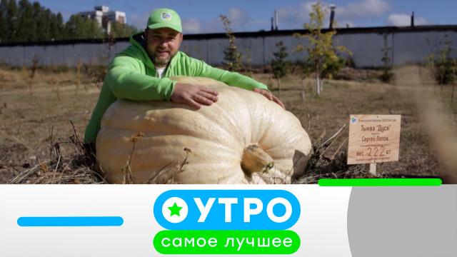 11 апреля 2024 года