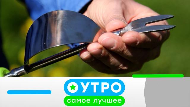 18 апреля 2024 года