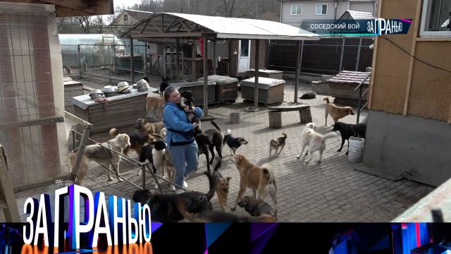 «Соседский вой»