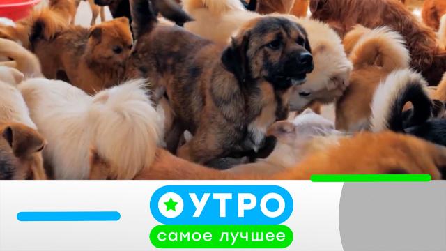 24 апреля 2024 года