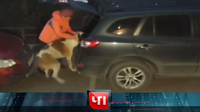 25 апреля 2024 года