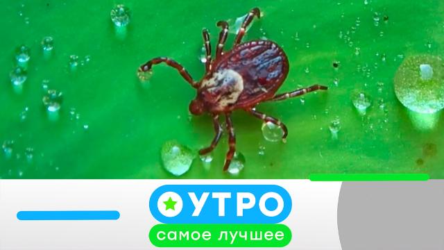 13 мая 2024 года