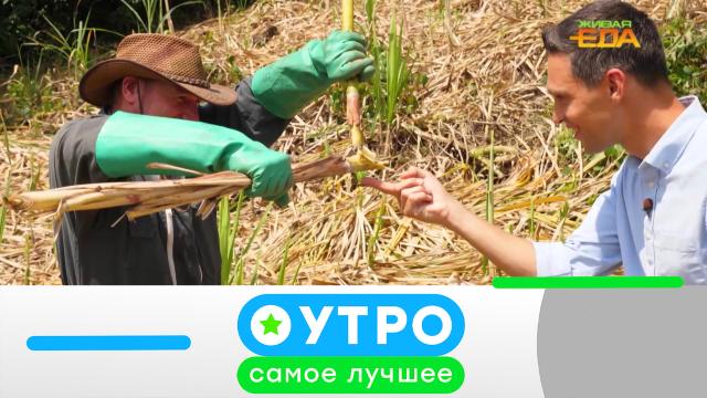 29 мая 2024 года