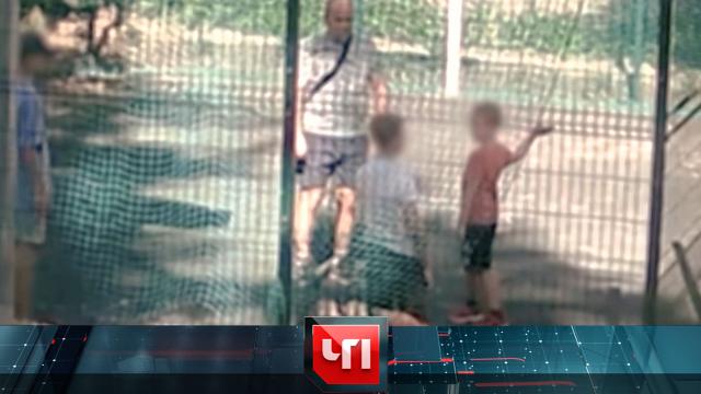 31 мая 2024 года