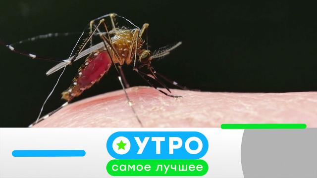 31 мая 2024 года