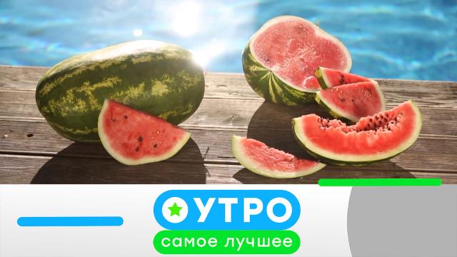 10 июня 2024 года