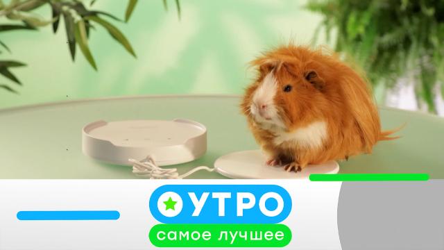 14 июня 2024 года