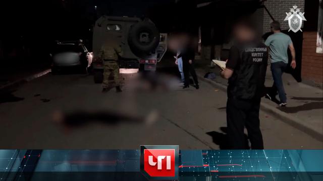 24 июня 2024 года