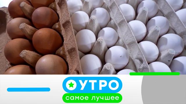 24 июня 2024 года