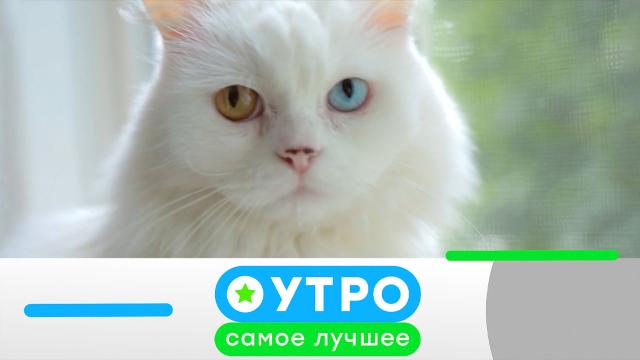 26 июня 2024 года