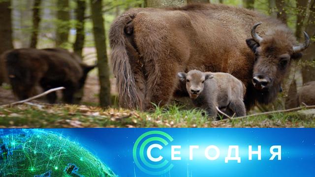 30 июня 2024 года. 10:00