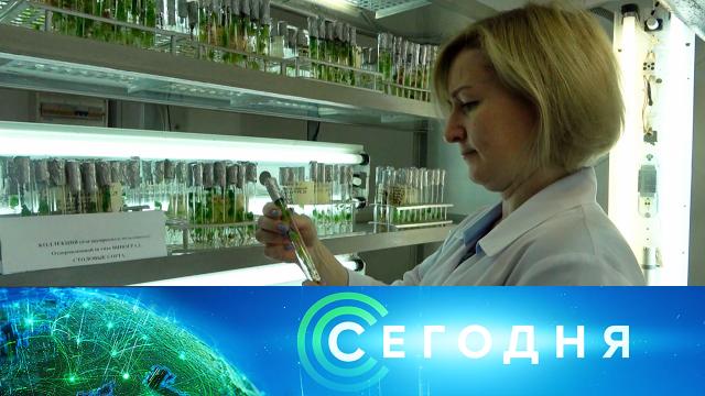 13 июля 2024 года. 16:00