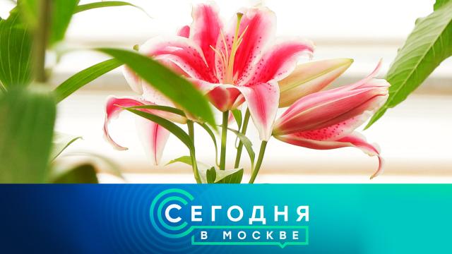 13 июля 2024 года. 10:00