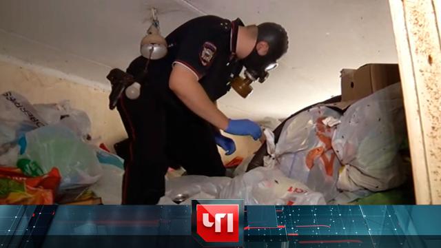 31 июля 2024 года