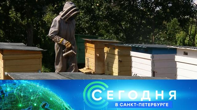 14 августа 2024 года. 16:20