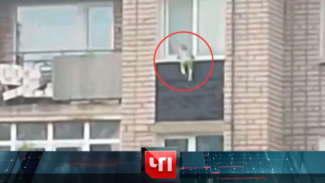 19 августа 2024 года