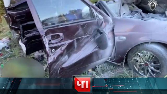 28 августа 2024 года