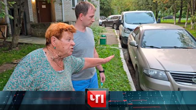 29 августа 2024 года