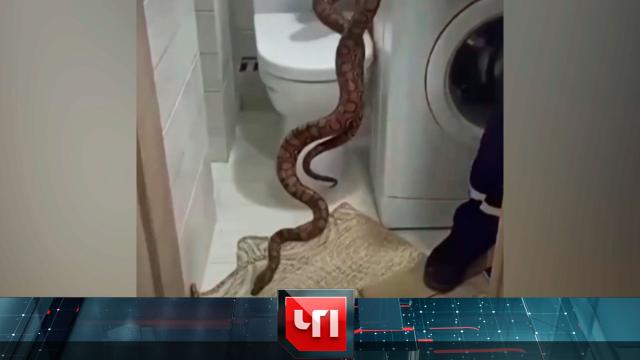 6 сентября 2024 года