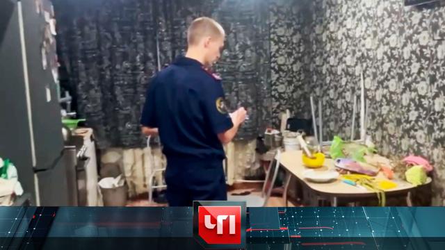 23 сентября 2024 года