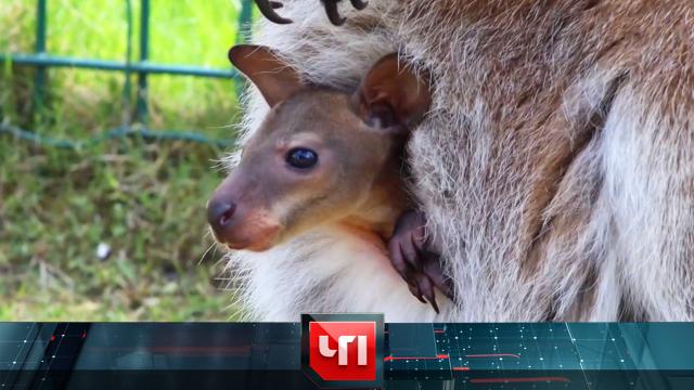 1 октября 2024 года