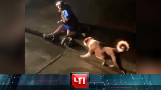 22 октября 2024 года