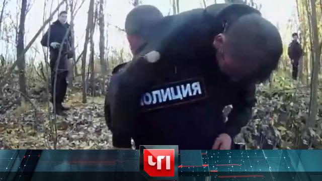 29 октября 2024 года