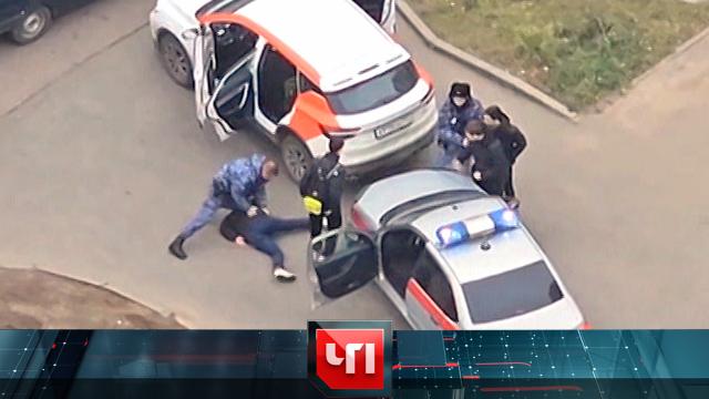 13 ноября 2024 года