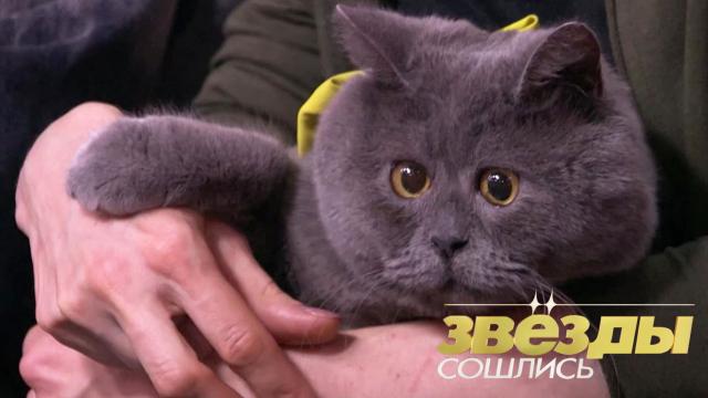 Вс 23:30 Звезды сошлись